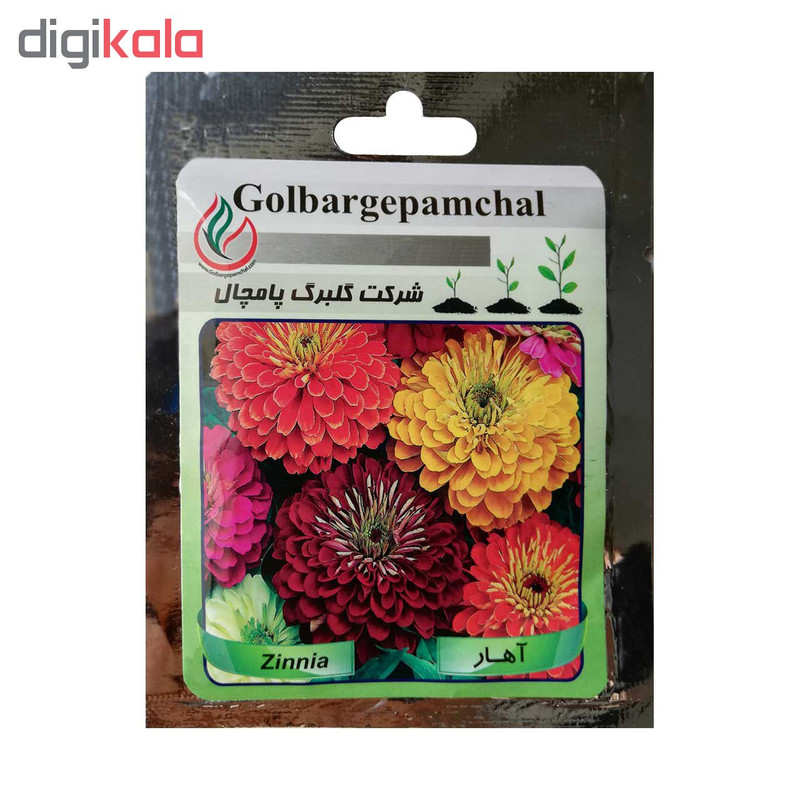 بذر گل آهار گلبرگ پامچال مدل GP04
