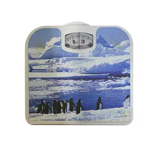 ترازو مکانیکی طرح Ice