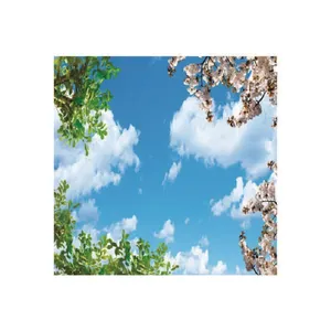 تایل سقفی آسمان مجازی مدل B32 سایز 60*60 سانتی متر