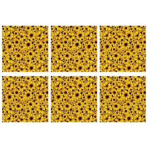U1-42806 Underplate pack of 6