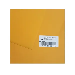 مقوا کانسون کد 06 سایز 50*65 سانتی متر بسته 10 عددی