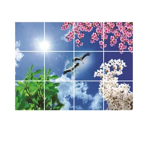 تایل سقفی آسمان مجازی مدل R15 سایز 60*60 سانتی متر مجموعه 12 عددی