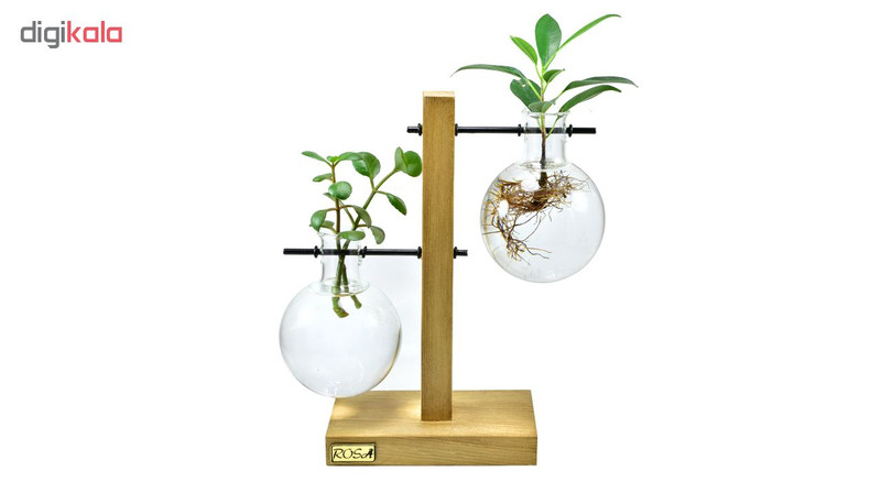 گلدان رزا مدل Retro 2