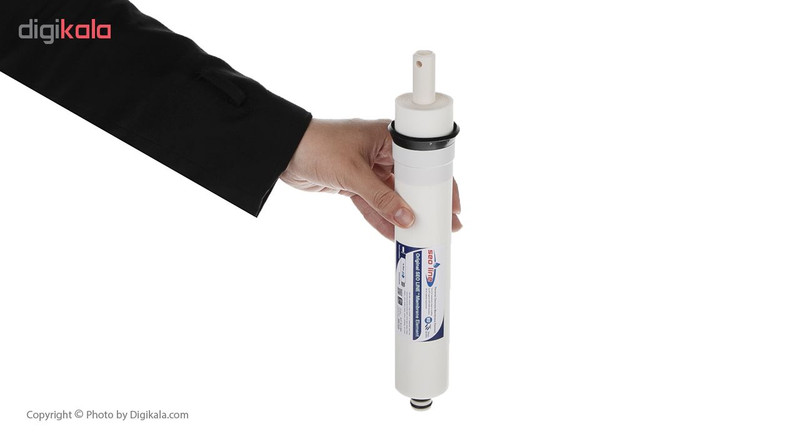 blueberry ro membrane price