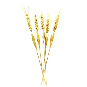 گل مصنوعی طرح گندم کد 01 بسته 5 عددی