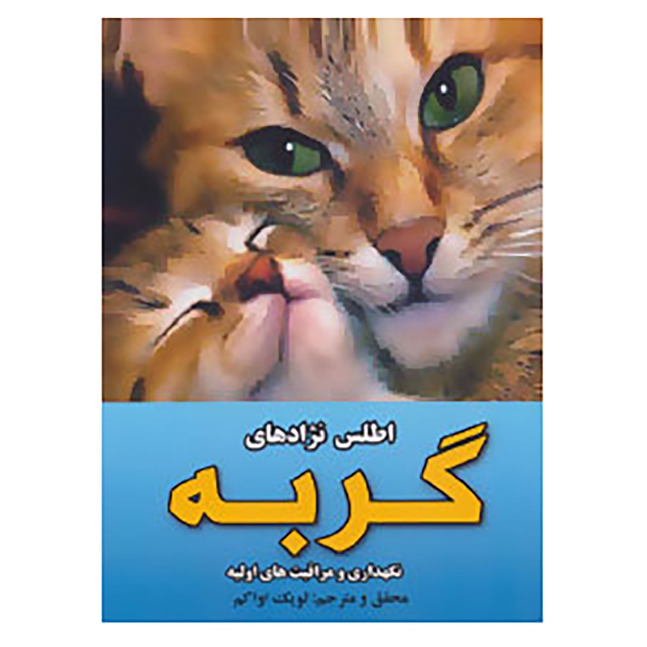 زیر پوش رکابی مردانه کد B1