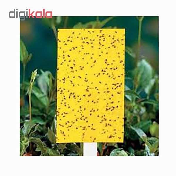 کارت جذب کننده حشرات مدل YC21 بسته 21 عددی