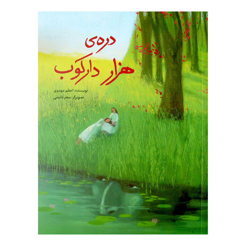 کتاب دره ی هزار دارکوب اثر اعظم مهدوی نشر طوطی