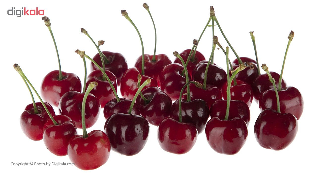 گیلاس – 500 گرم