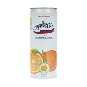 نوشیدنی پالپ دار پرتقال گلشن - 240 میلی لیتر