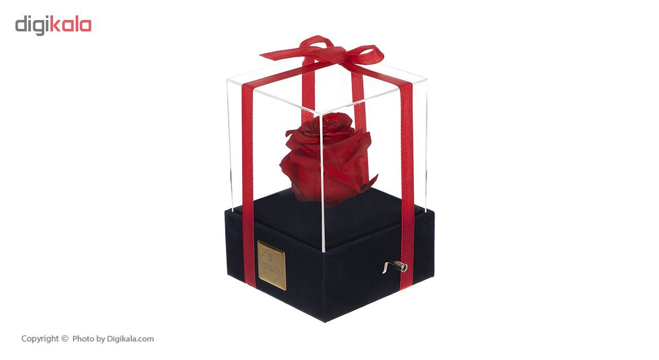 جعبه موزیکال گل ماندگار دکوفیوره مدل رز جاودان ملودی های عاشقانه - به همراه پاکت مخصوص