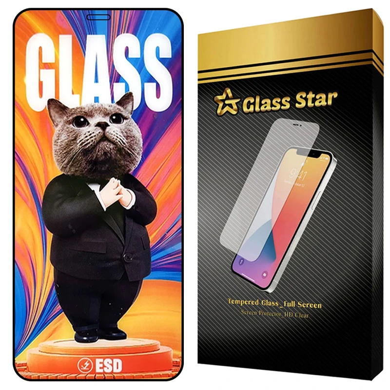 محافظ صفحه نمایش گلس استار مدل SCATG20 مناسب برای گوشی موبایل اپل  iPhone 12 Pro Max
