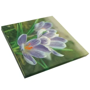 دستمال سفره مدل saffron بسته 20 عددی