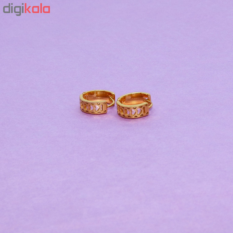 گوشواره زنانه طرح قلب کد dr7154