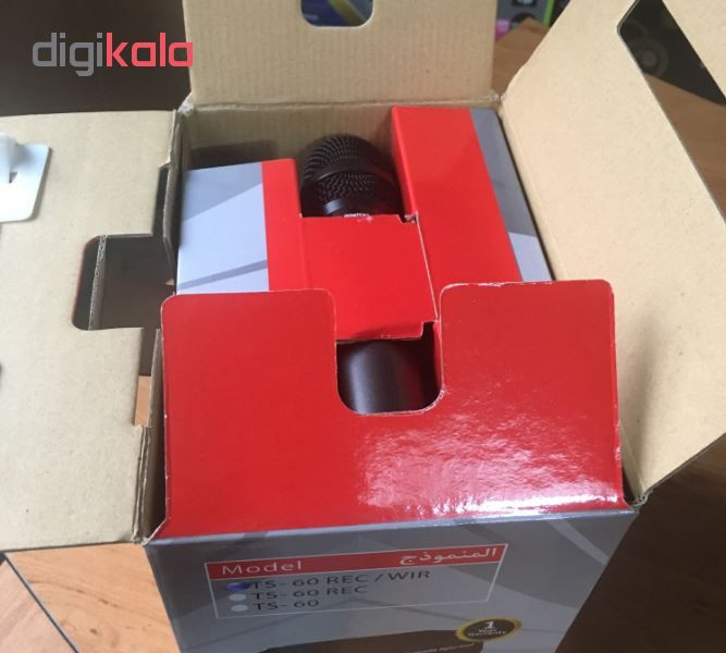 اکو همراه تکنوسوند مدل TS60W به همراه میکروفن