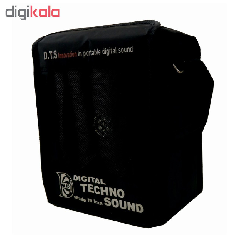 اکو همراه تکنوسوند مدل TS60W به همراه میکروفن