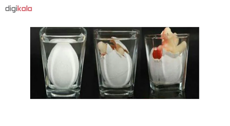 عکس شماره 5 : تخم دایناسور جادویی دنیای سرگرمی های کمیاب مدل dsk449