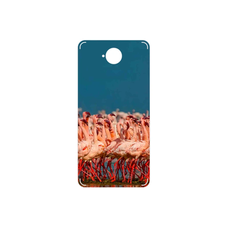 برچسب پوششی ماهوت مدل Flamingo مناسب برای گوشی موبایل مایکروسافت Lumia 650