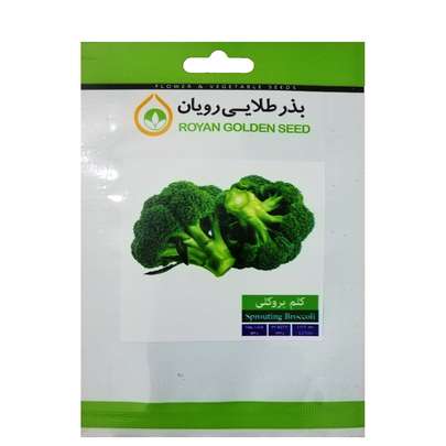دانه کلم بروکلی را از کجا تهیه کنیم؟