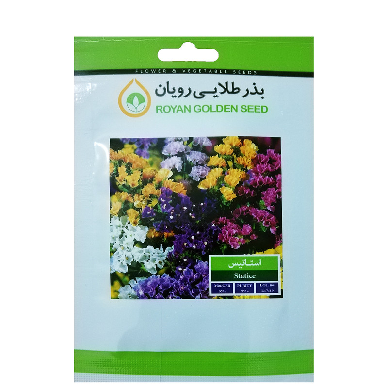 بذر گل استاتیس بذر طلایی رویان کد BZT-114
