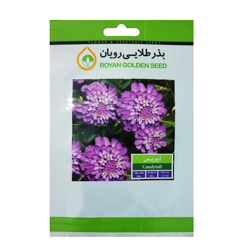 بذر گل ایبریس بذر طلایی رویان کد BZT-123