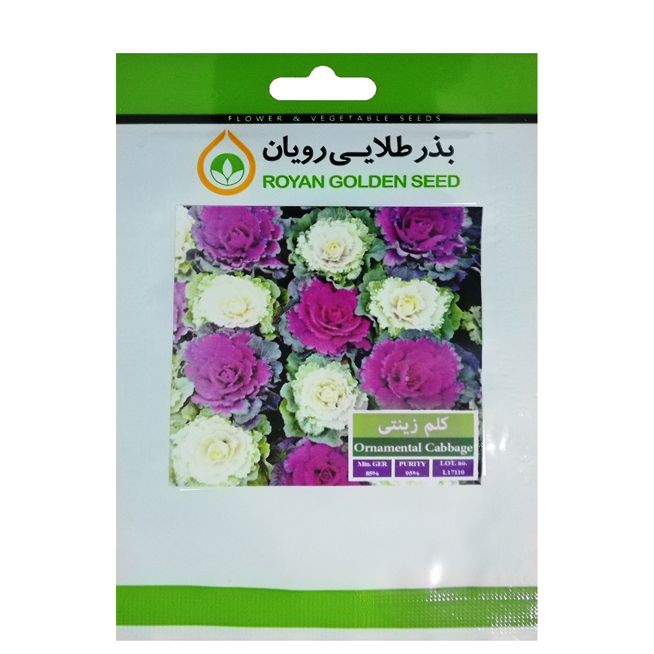 بذر کلم زینتی بذر طلایی رویان کد BZT-117