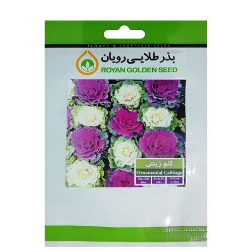بذر کلم زینتی بذر طلایی رویان کد BZT-117
