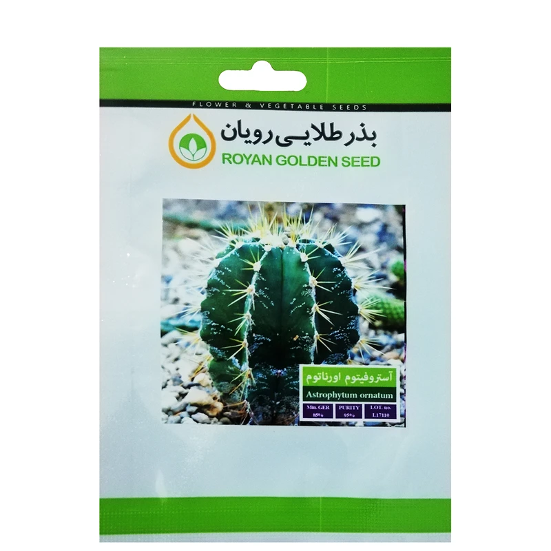 بذر کاکتوس آستروفیتوم اورناتوم بذر طلایی رویان کد BZT-121