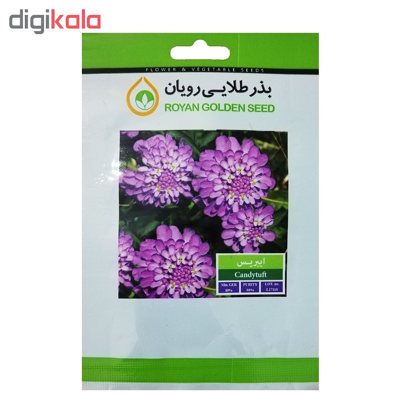 بذر گل ایبریس بذر طلایی رویان کد BZT-123