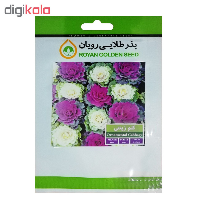 بذر کلم زینتی بذر طلایی رویان کد BZT-117