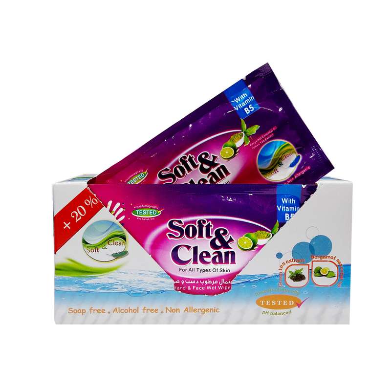 دستمال مرطوب سافت اند کلین کد 05 بسته 12 عددی