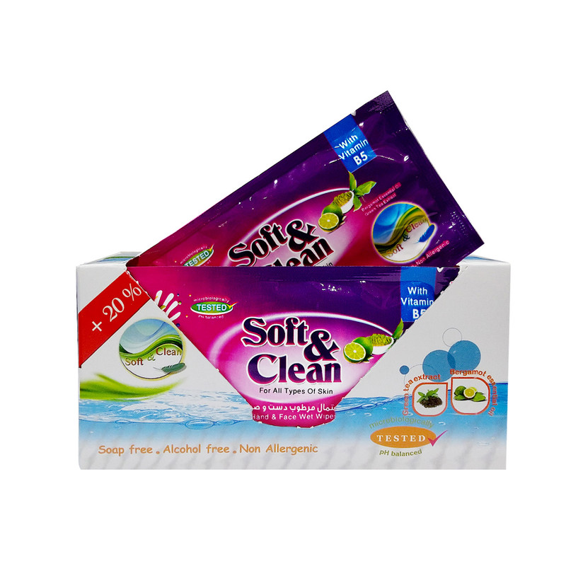 دستمال مرطوب سافت اند کلین کد 05 بسته 12 عددی