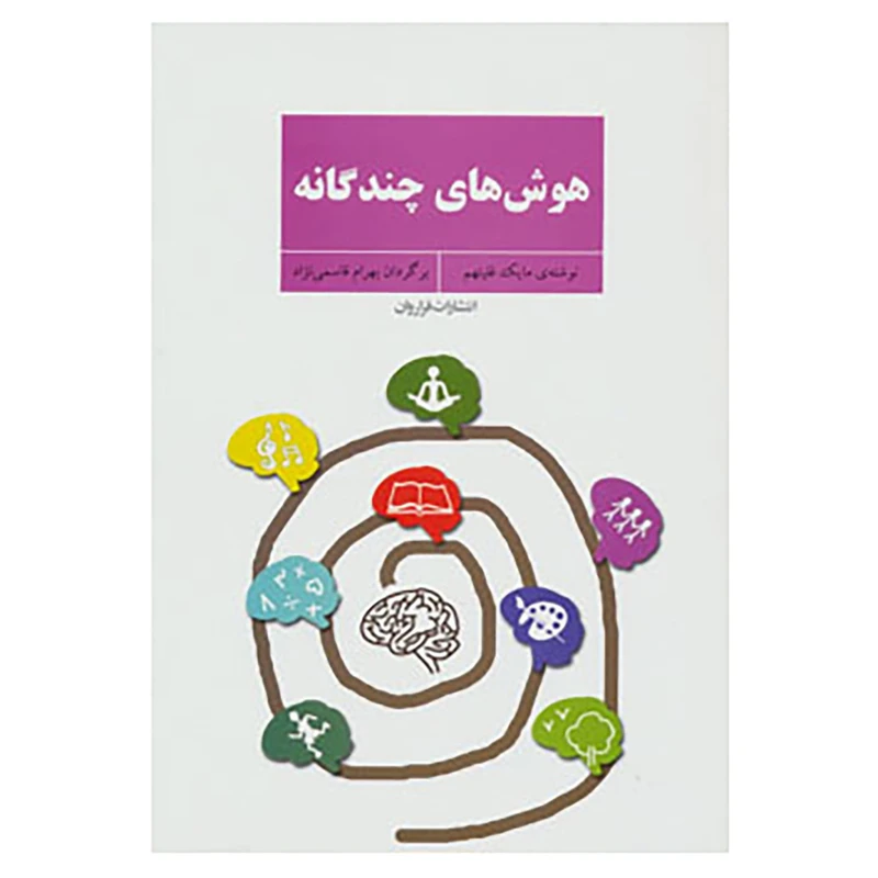 کتاب هوش های چندگانه اثر مایک فلیتهم