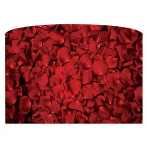شید آباژور مدل Sh2-10803