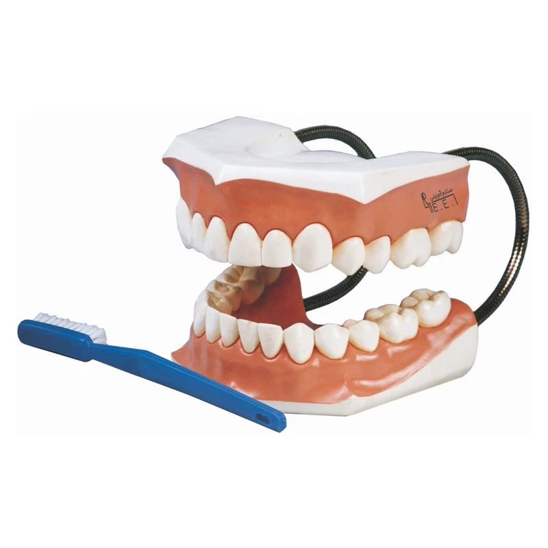 بازی آموزشی صنایع آموزشی طرح آموزش مسواک کد 3150