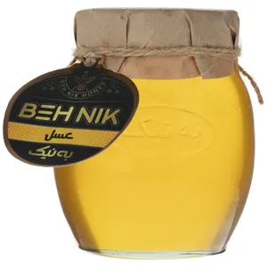 عسل به نیک - 450 گرم
