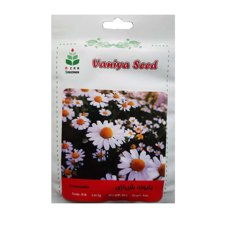 بذر بابونه شیرازی آذر سبزینه مدل X16