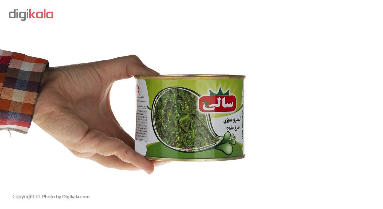 کنسرو سبزی سرخ شده سالی - 450 گرم main 1 3