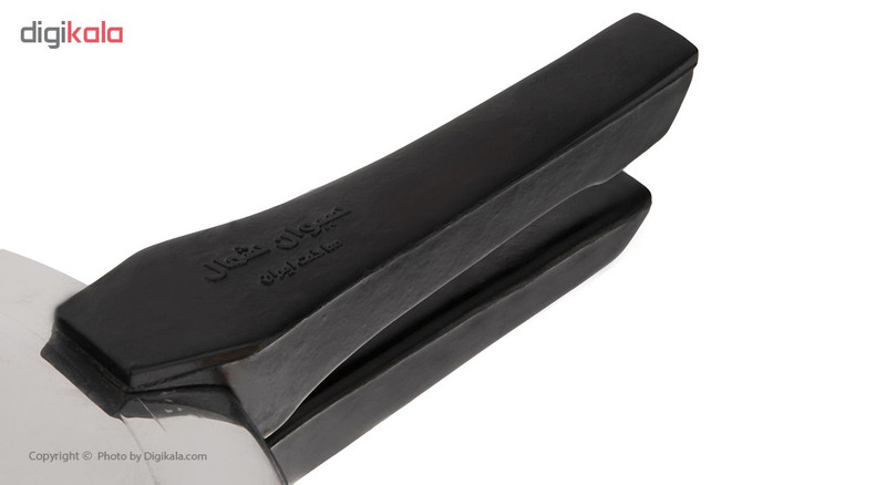 زودپز آسیا مدل BPC-3000 ظرفیت 10 لیتر