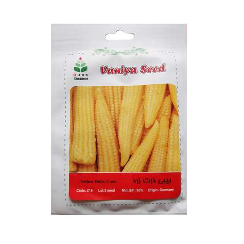 بذر ذرت را از کجا تهیه کنیم؟