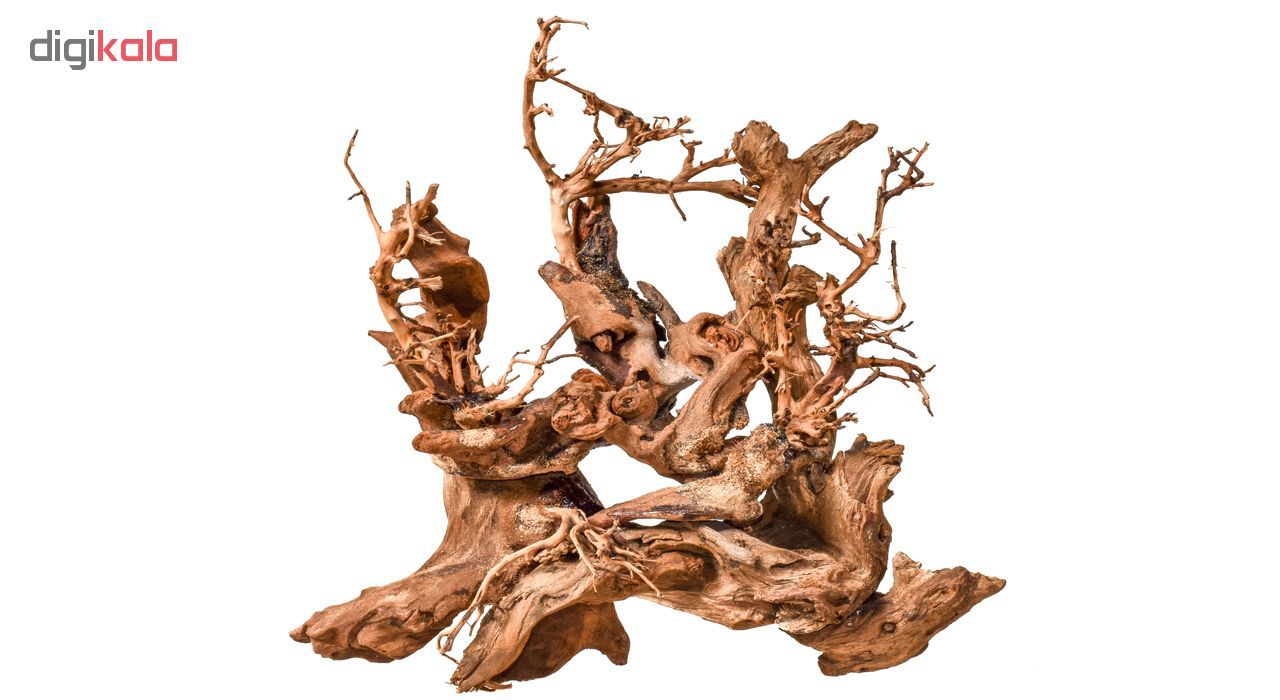 ریشه تزئینی آکواریوم کد 55