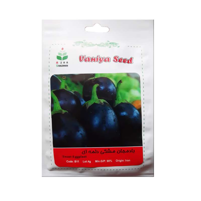 بذر بادمجان دلمه ای آذر سبزینه مدل B11
