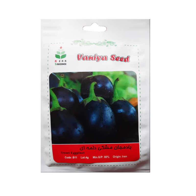 بذر بادمجان دلمه ای آذر سبزینه مدل B11