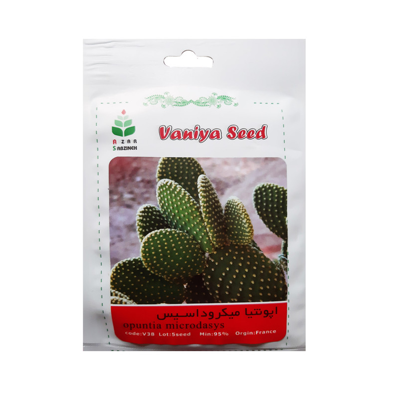 بذر اپونتیا میکروداسیس آذر سبزینه مدل V38