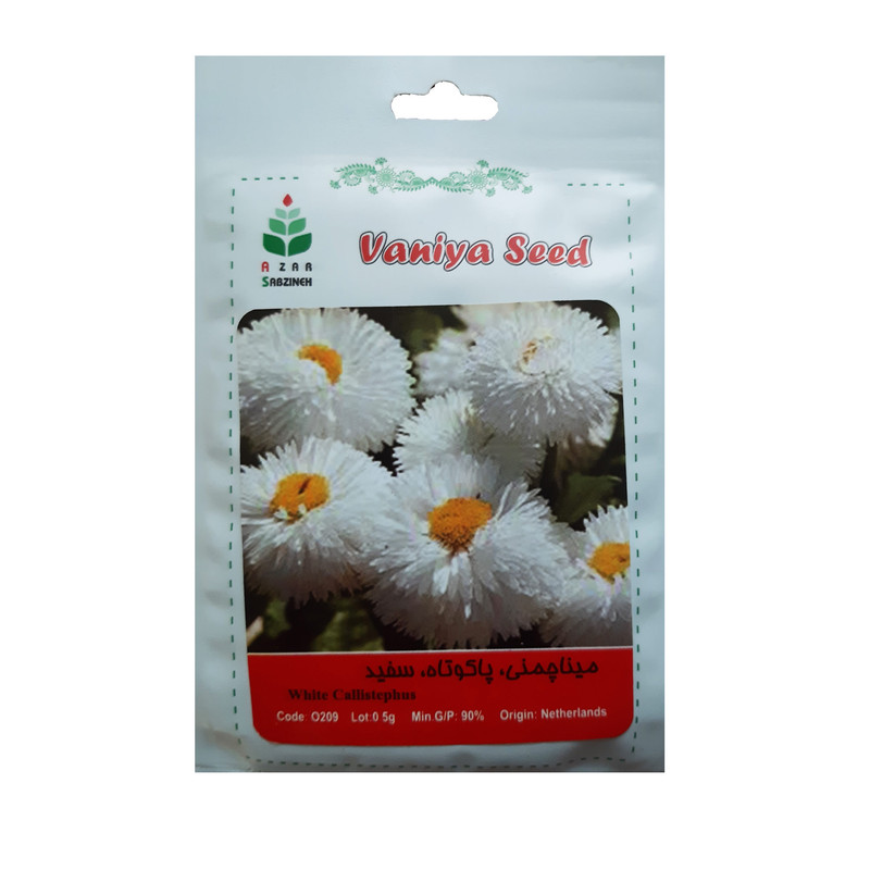 بذر مینا چمنی پا کوتاه سفید آذر سبزینه مدل O209