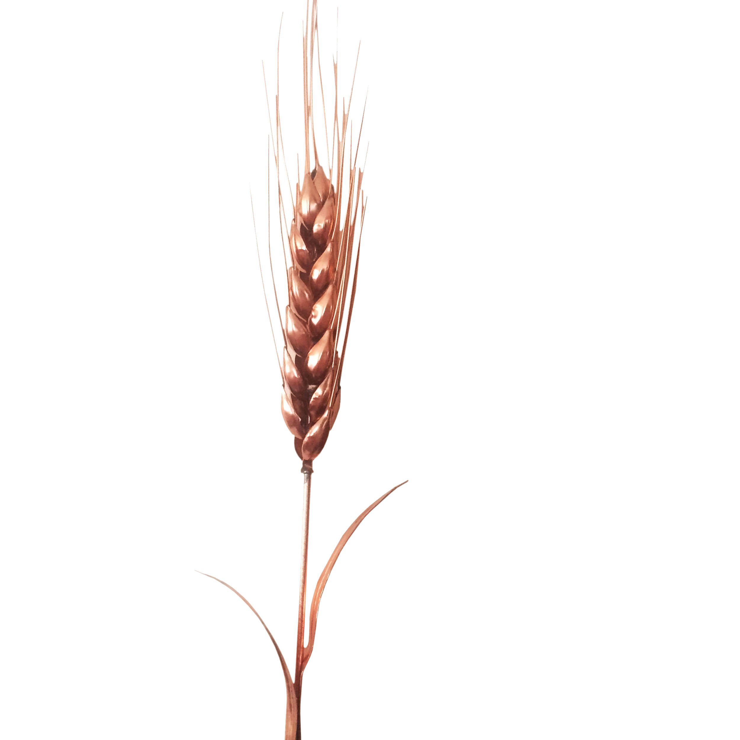 شاخه گل مصنوعی مدل wheat-copper