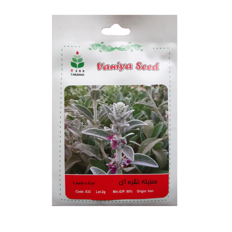 بذر سنبله نقره ای آذر سبزینه مدل X33