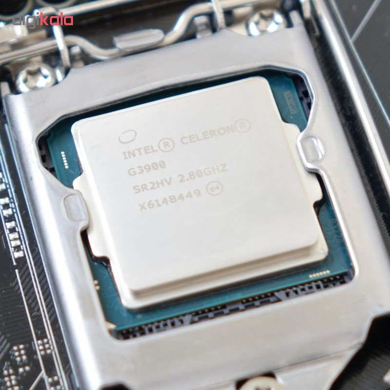 پردازنده مرکزی اینتل سری Skylake مدل Celeron G3900 Tray