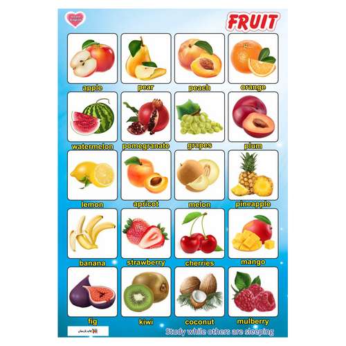 پوستر آموزشی چاپ پارسیان طرح آموزش زبان انگلیسی مدل 007 FRUIT 