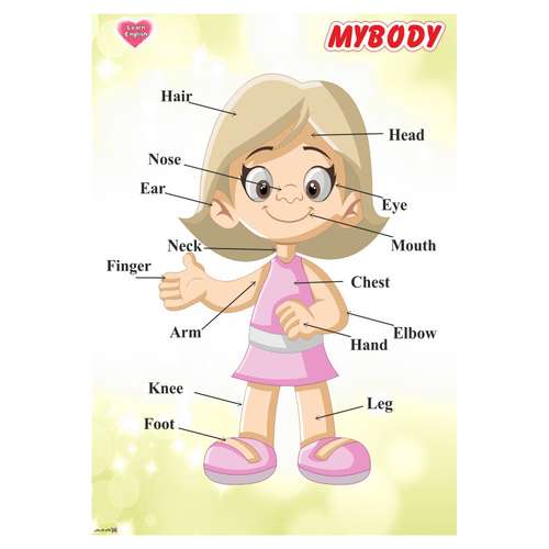 پوستر آموزشی چاپ پارسیان طرح آموزش زبان انگلیسی مدل 017 MYBODY